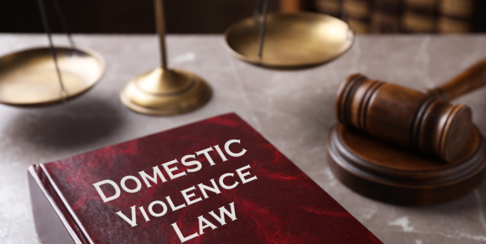 domestic violence book scales and gavel